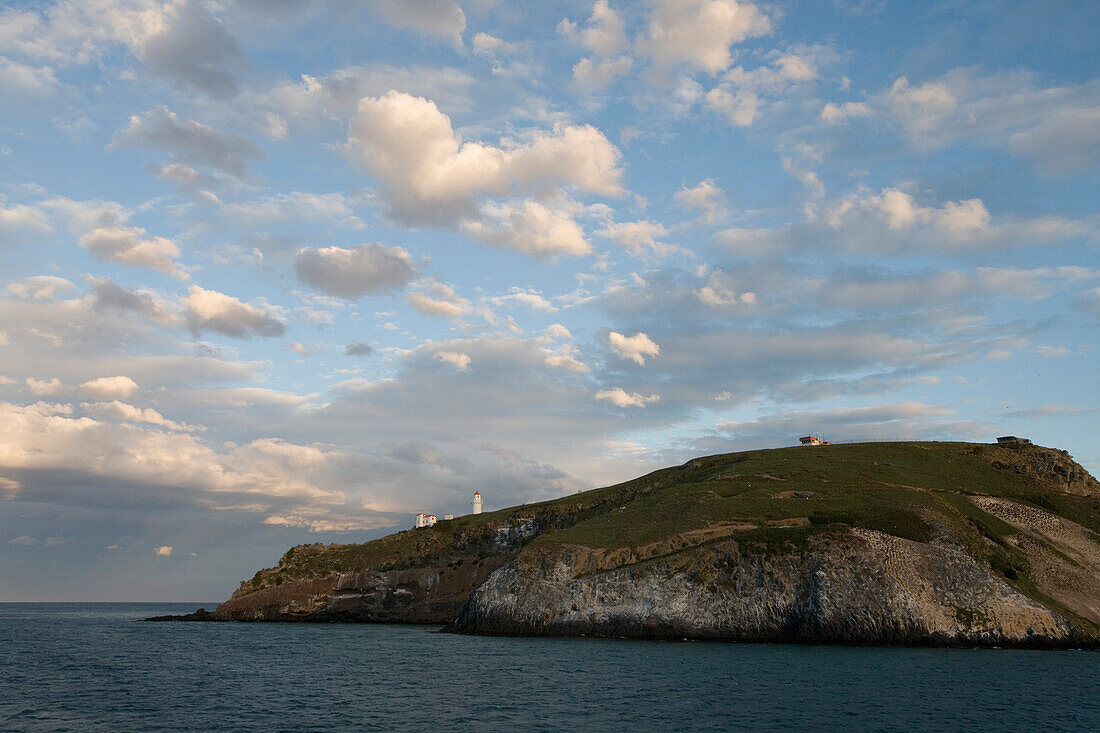 Taiaroa Head Leuchtturm auf Otago Peninsula, nahe Dunedin, Otago, Südinsel, Neuseeland