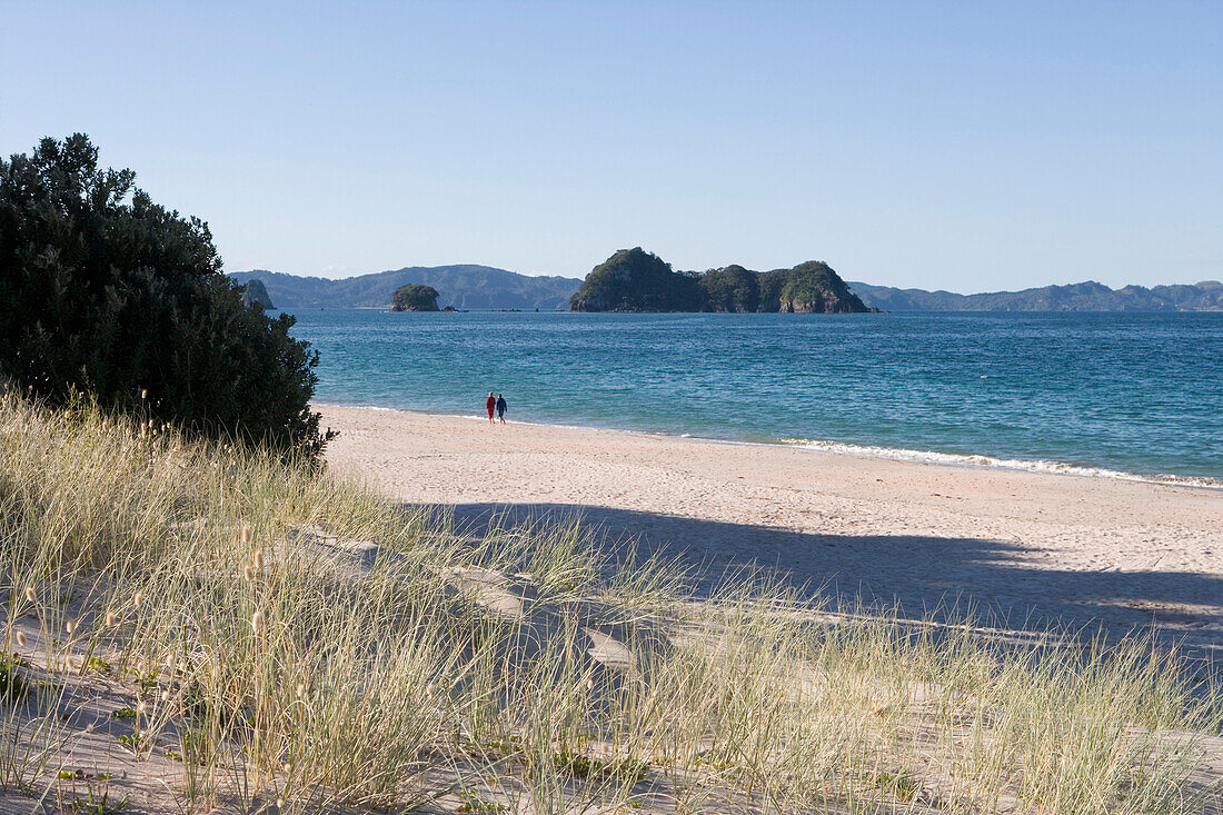 Paar spaziert entlang Strand von Hahei, Coromandel Peninsula, Nordinsel, Neuseeland