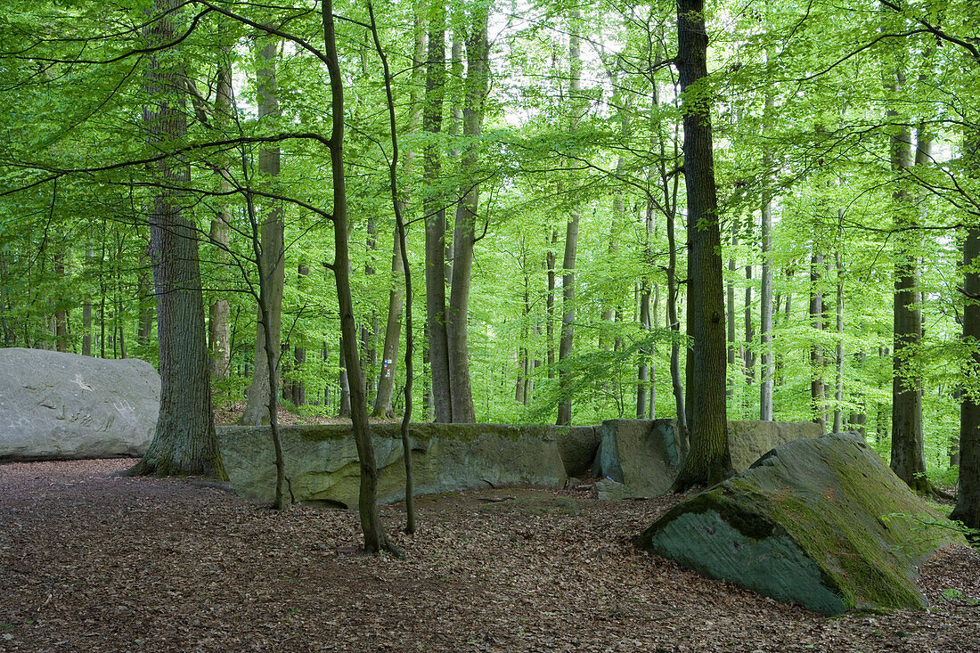 Die Langen Steine Basaltsteine, nahe Haunetal Unterstoppel, Rhön, Hessen, Deutschland, Europa