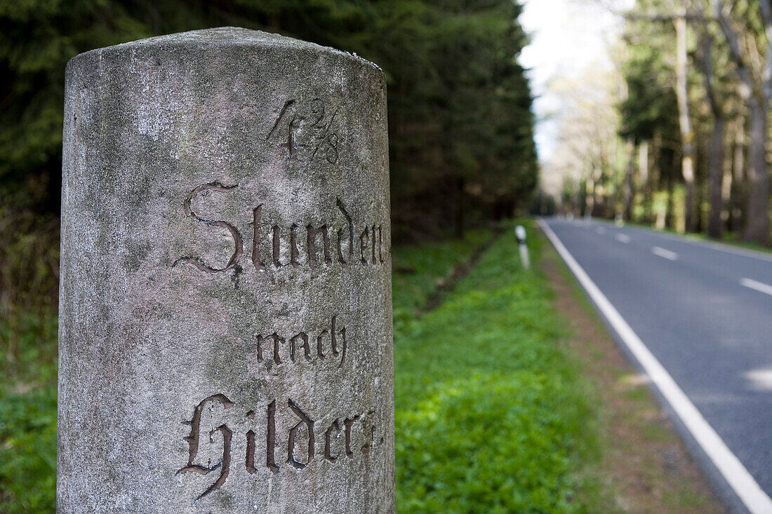 Historic road sign, distance marker stone to Hilders, near Hilders, Rhoen, Hesse, Germany