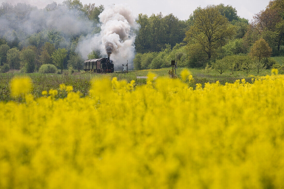 Steam Locomotive and Excursion Train, Rhoen-Zuegle between Fladungen and Ostheim, Rhoen, Bavaria, Germany