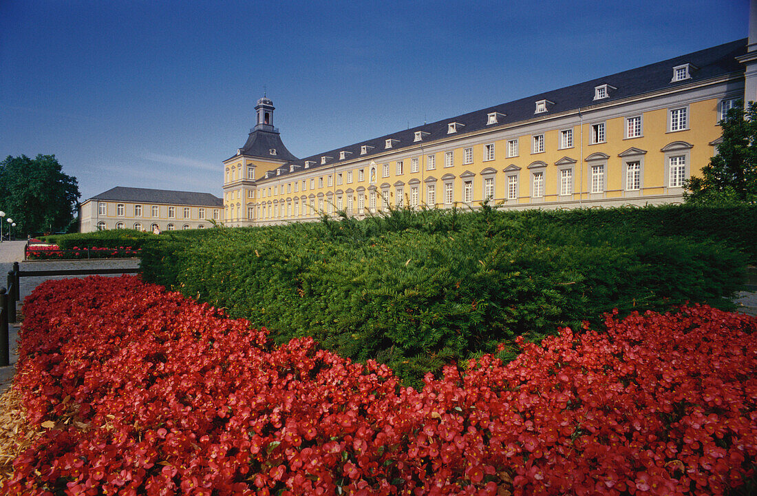 Kurfuerstliches Schloss, now the main building of the University of Bonn, Bonn, North Rhine-Westphalia, Germany, Europe