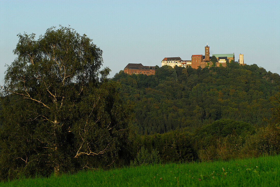 Die Wartburg vom Westen, Eisenach, Thüringen, Deutschland