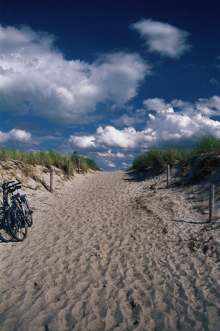 Sanddunes at the beach near Wustrow, Holiday, Darss, Baltic Sea, Mecklenburg Western Pomerania, Germany