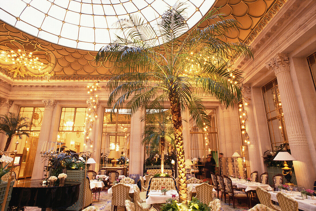Winter garden, conservatory with glass roof in luxury Hotel Le Meurice, Accomodation, Paris, France