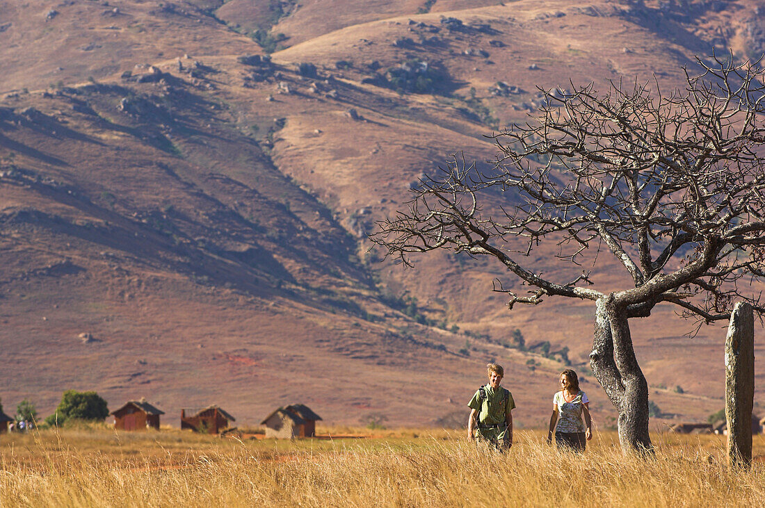 Two hikers walking across a field, Madagascar, Africa