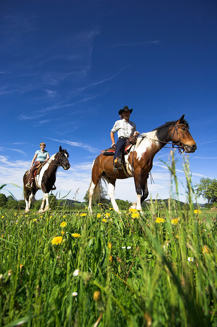 Zwei Personen reiten durch eine Blumenwiese, Mühlviertel, Oberösterreich, Österreich