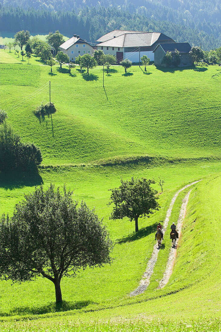 Two horseriders riding through a meadow, Muehlviertel, Upper Austria, Austria
