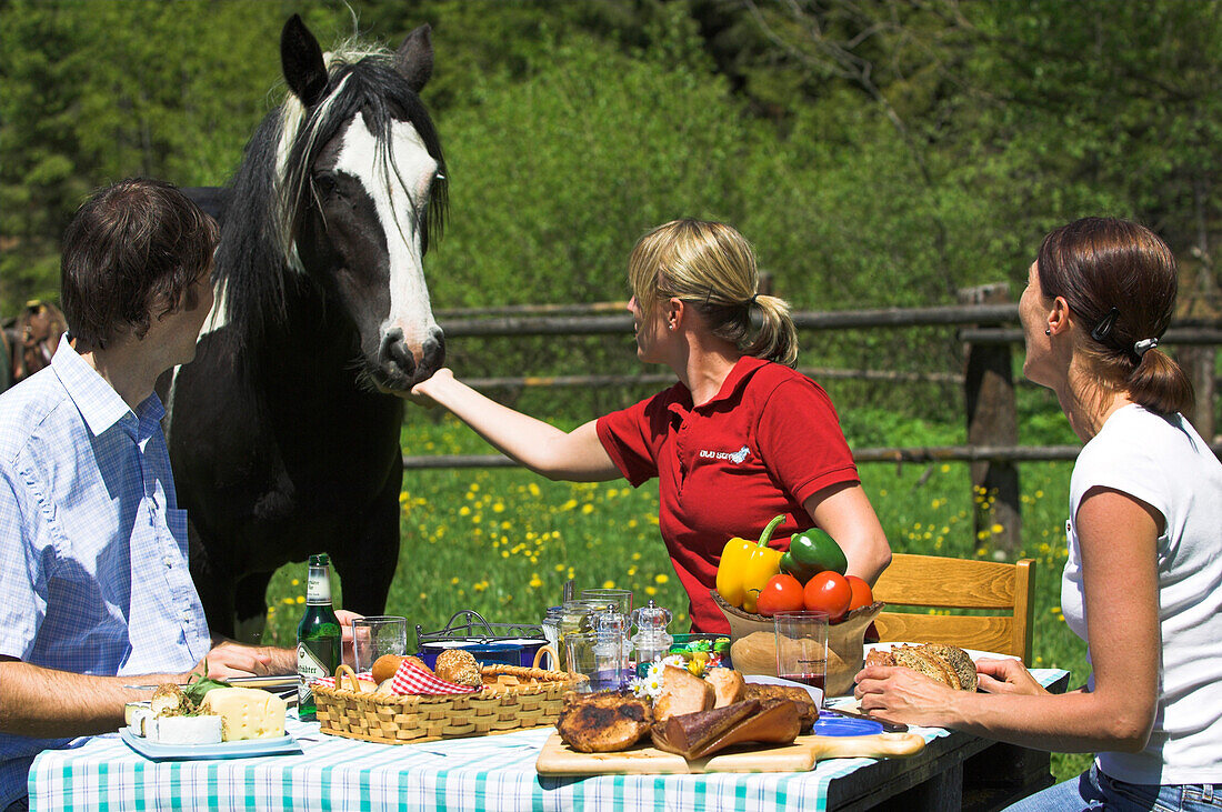 Reiter beim Essen in der Natur, Pferd, Mühlviertel, Oberösterreich, Österreich