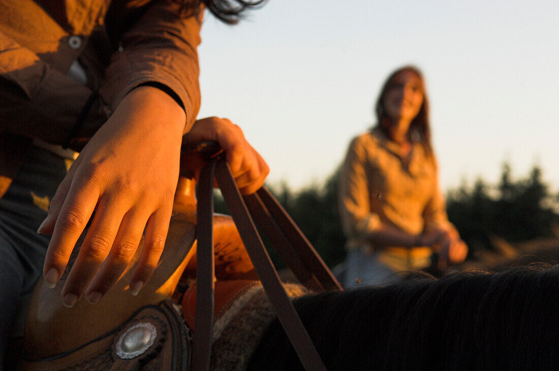 Nahaufnahme von zwei Frauen in der Abendstimmung am Pferd, Mühlviertel, Oberösterreich, Österreich