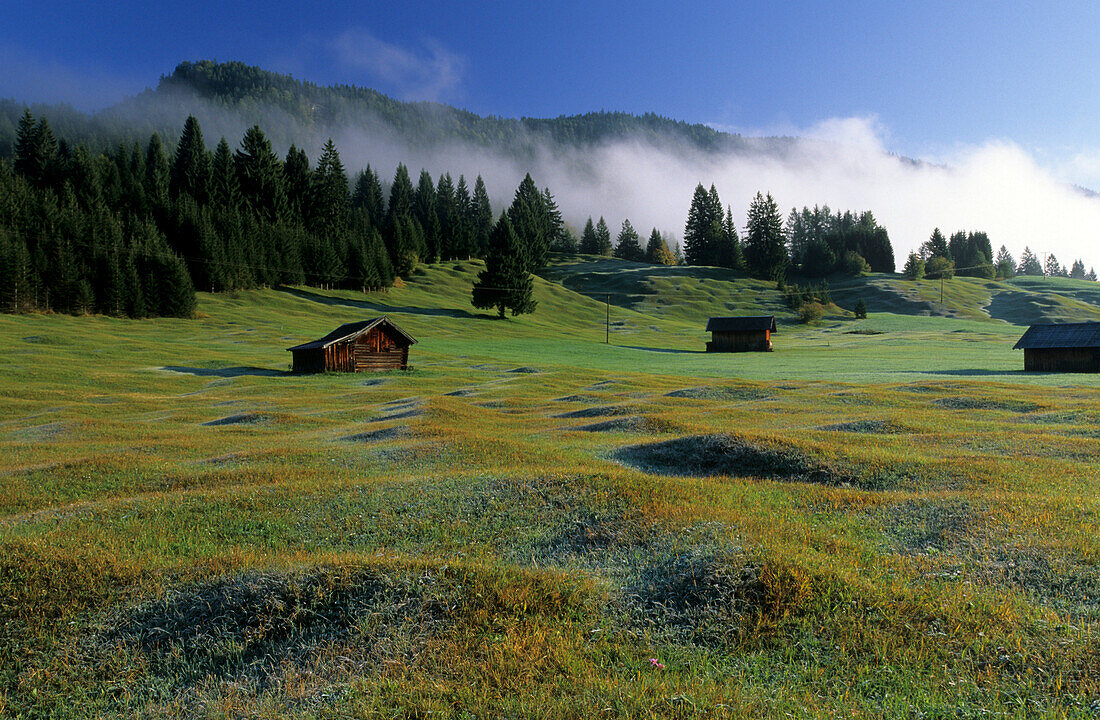 Barns on humpy meadow, Klais, Upper Bavaria, Bavaria, Germany