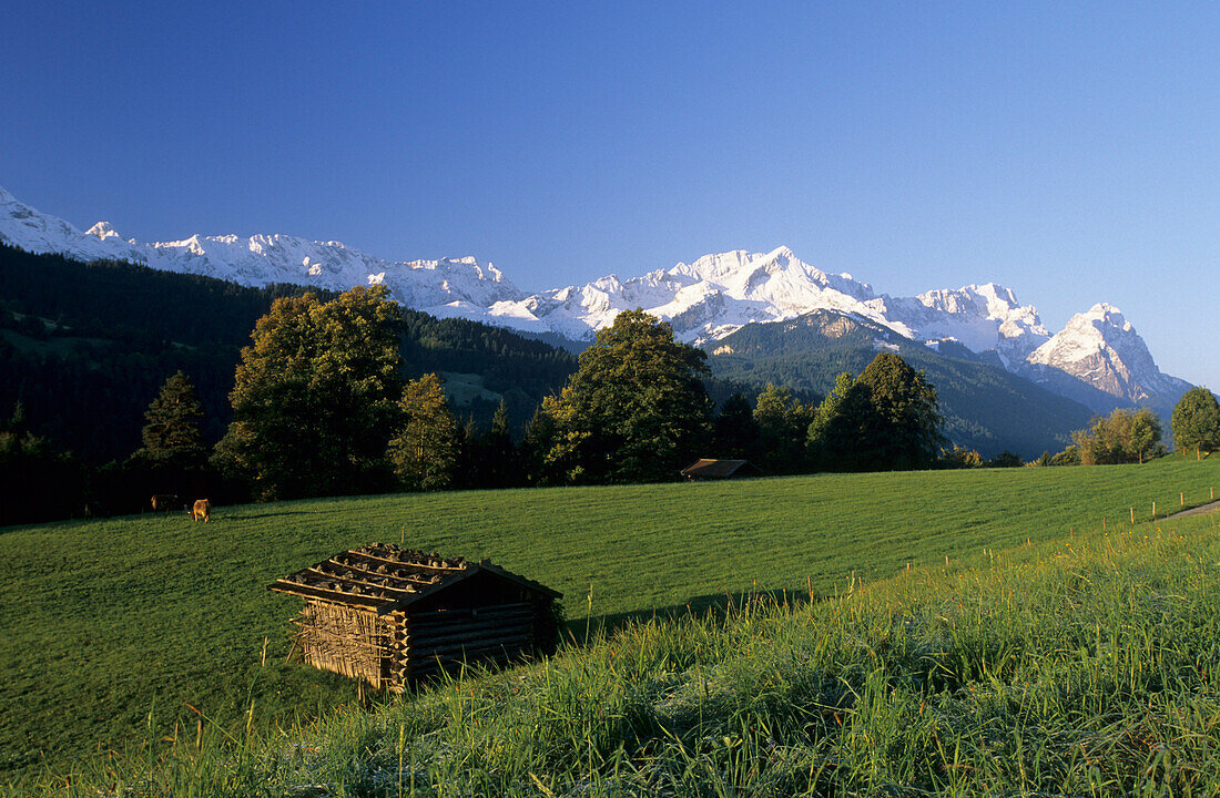 Barn on meadow, snowcovered Wetterstein range in background, Garmisch-Partenkirchen, Upper Bavaria, Bavaria, Germany