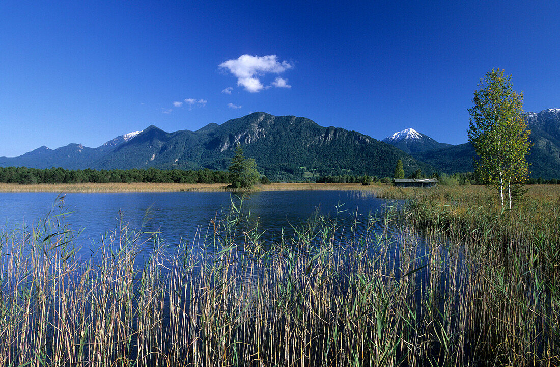 View over lake to mount Herzogstand, Murnauer Moos, Murnau, Upper Bavaria, Bavaria, Germany