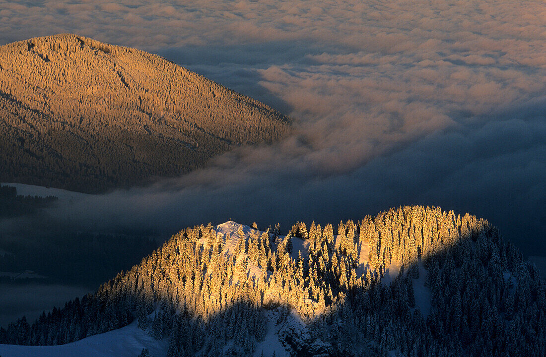 Cross on summit with winter forest in morning light, view from Wendelstein, Upper Bavaria, Bavaria, Germany