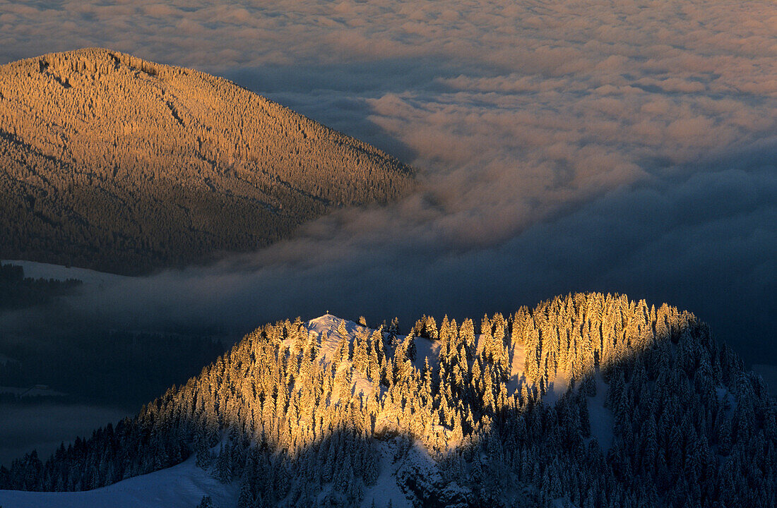 Gipfelkreuz mit Winterwald im Morgenlicht, Wendelstein, Oberbayern, Bayern, Deutschland