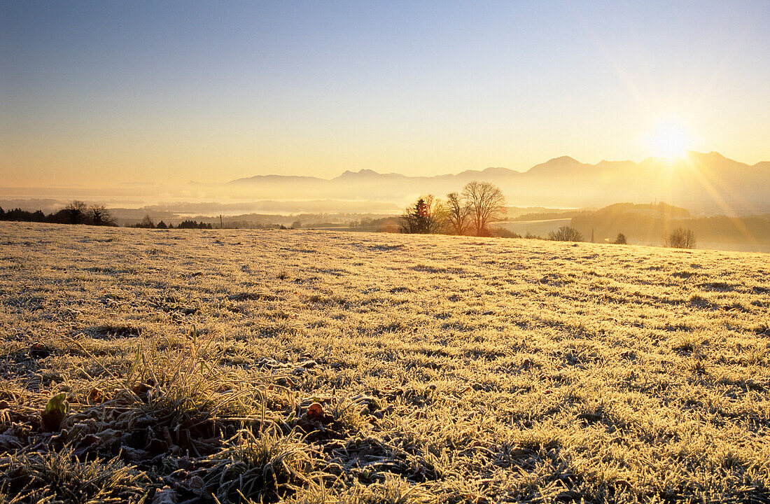 Sonnenaufgang über dem Chiemsee mit Raureifwiese und Kulisse von Teisenberg, Hochstaufen, Zwiesel, Hochfelln und Hochgern, Ratzinger Höhe, Chiemgau, Oberbayern, Bayern, Deutschland