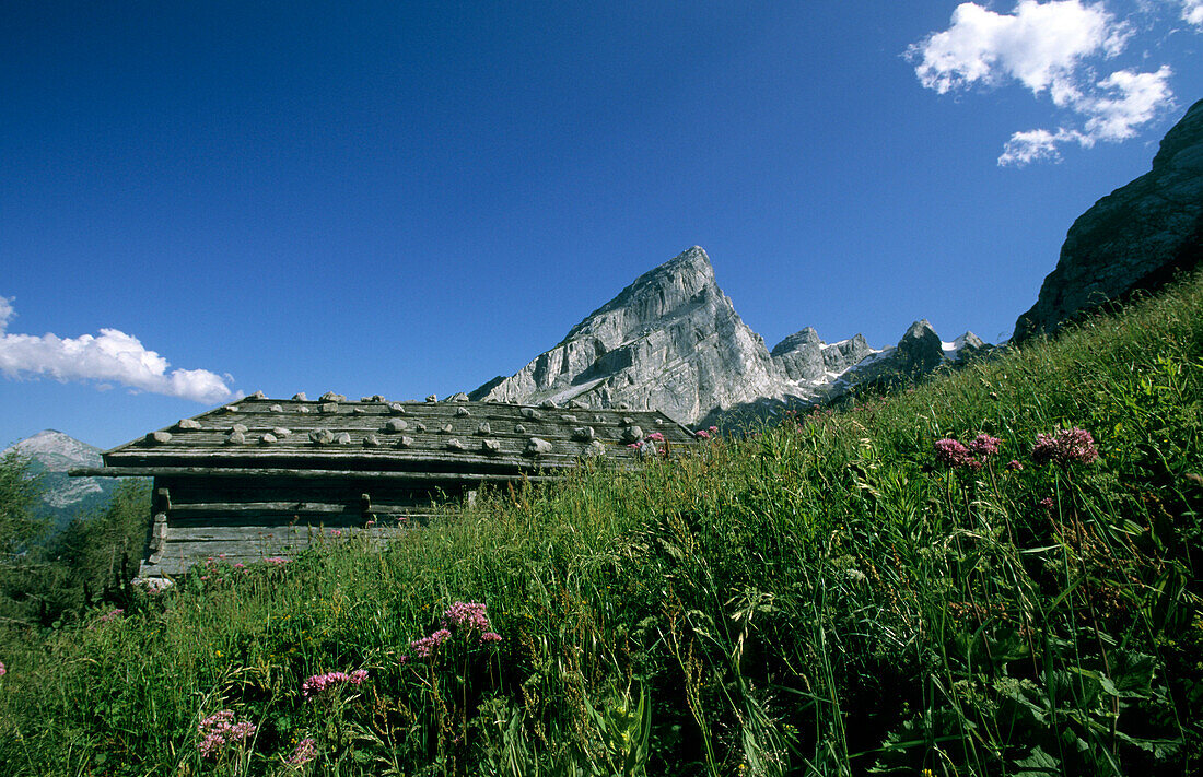 Almhütte vor Kleinem Watzmann und Watzmannkindern, Watzmann, Berchtesgadener Alpen, Oberbayern, Bayern, Deutschland