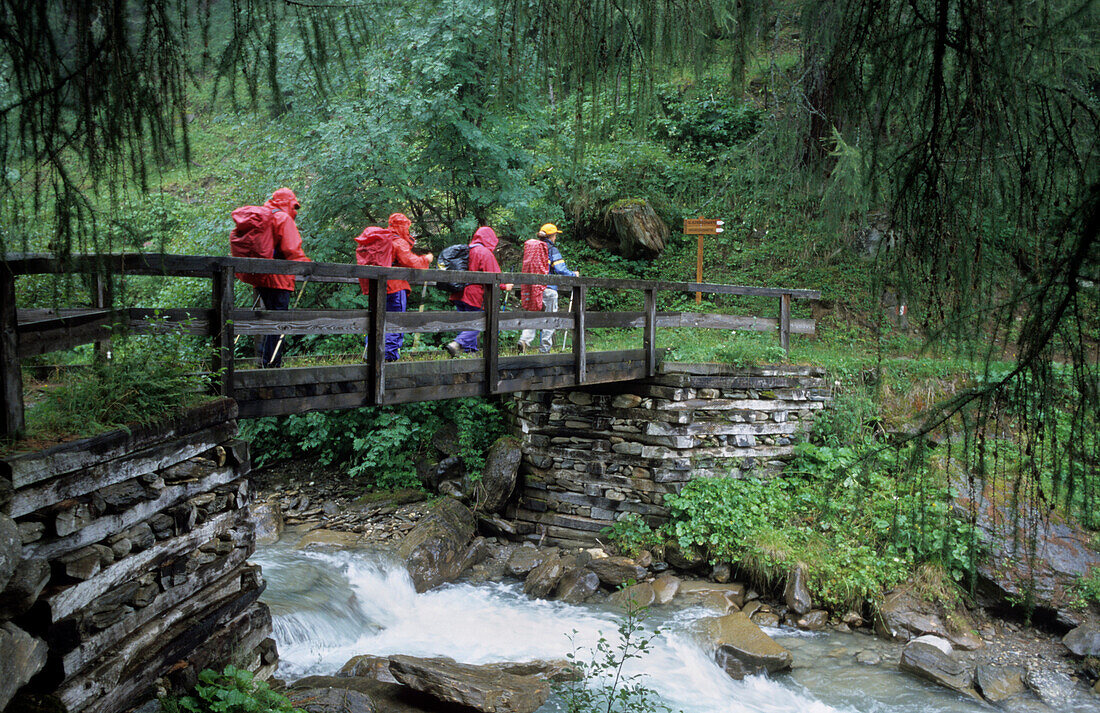 Gruppe von vier Wanderern über queren eine Brücke bei Regenwetter, Pfitscherjoch, Zillertaler Alpen, Südtirol, Italien