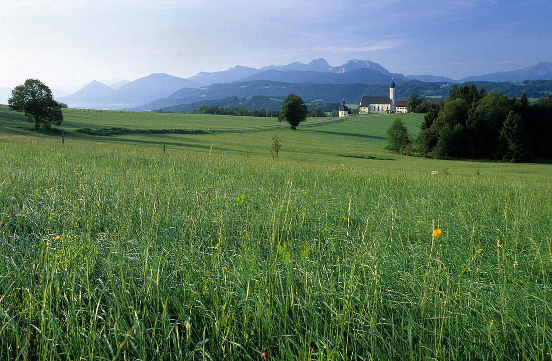 Wallfahrtskirche Wildparting mit Wendelstein im Hintergrund, Bayerische Alpen, Oberbayern, Bayern, Deutschland