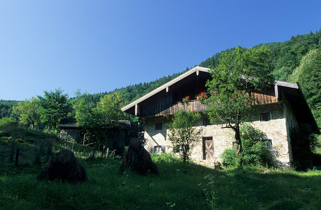 Bergbauernhof, Asten, Bayerische Alpen, Oberbayern, Bayern, Deutschland