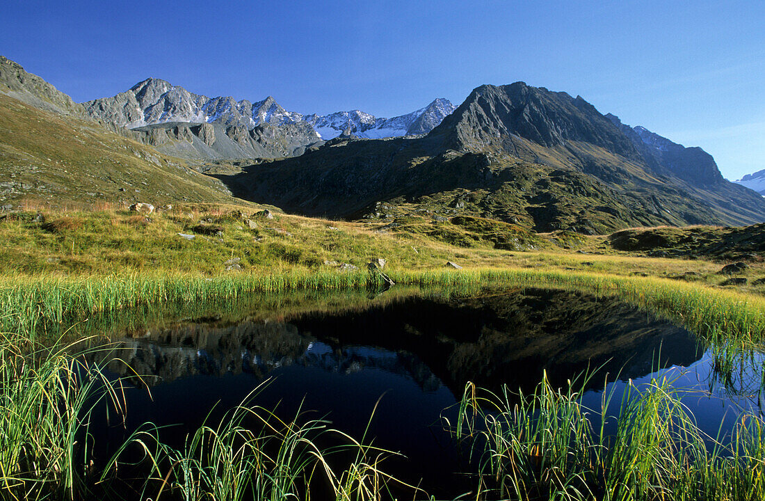 kleiner See mit Gras und Blick auf Knotenspitze und Kräulspitze, Stubaier Alpen, Tirol, Österreich