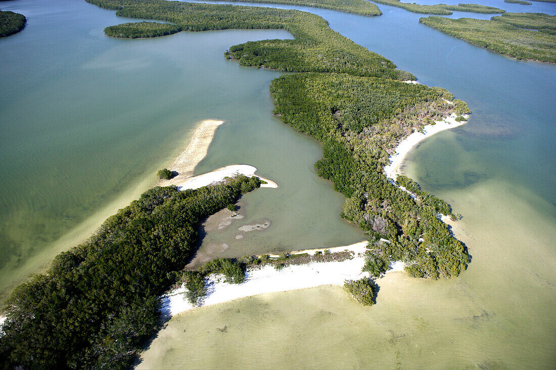 Aerial view of mangroves at Ten Thousand Islands National Wildlife Refuge, Florida, USA