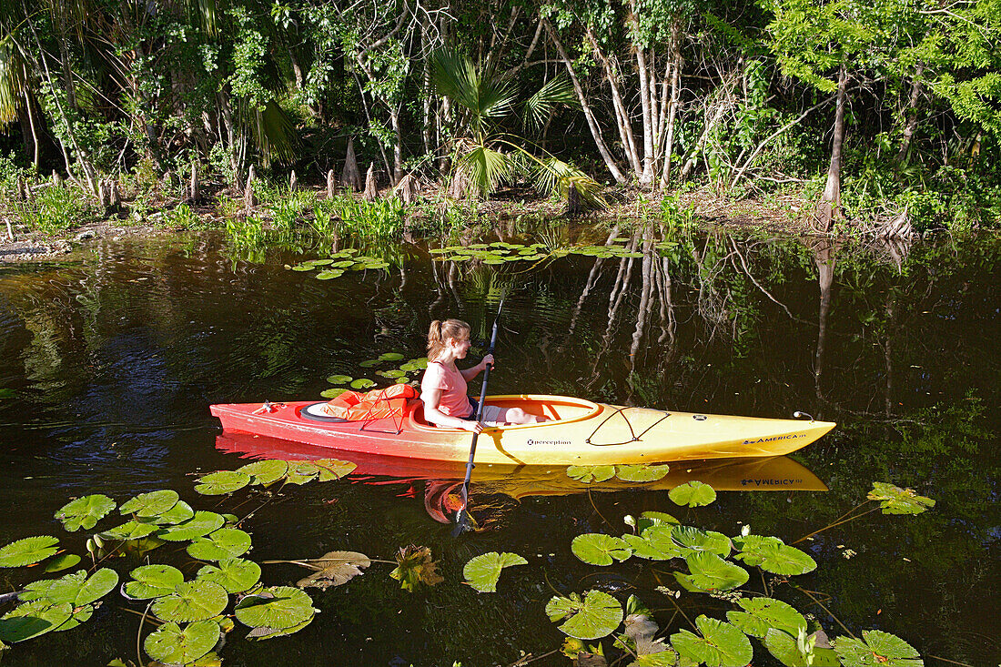 Kajaktour im Big Cypress National Park. Er ist Teil der Everglades, Florida, USA