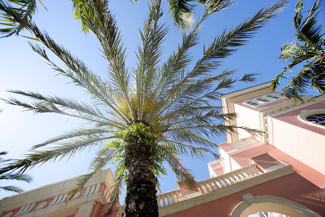 Facade with palm tree, 5th Avenue in Naples, Florida, USA