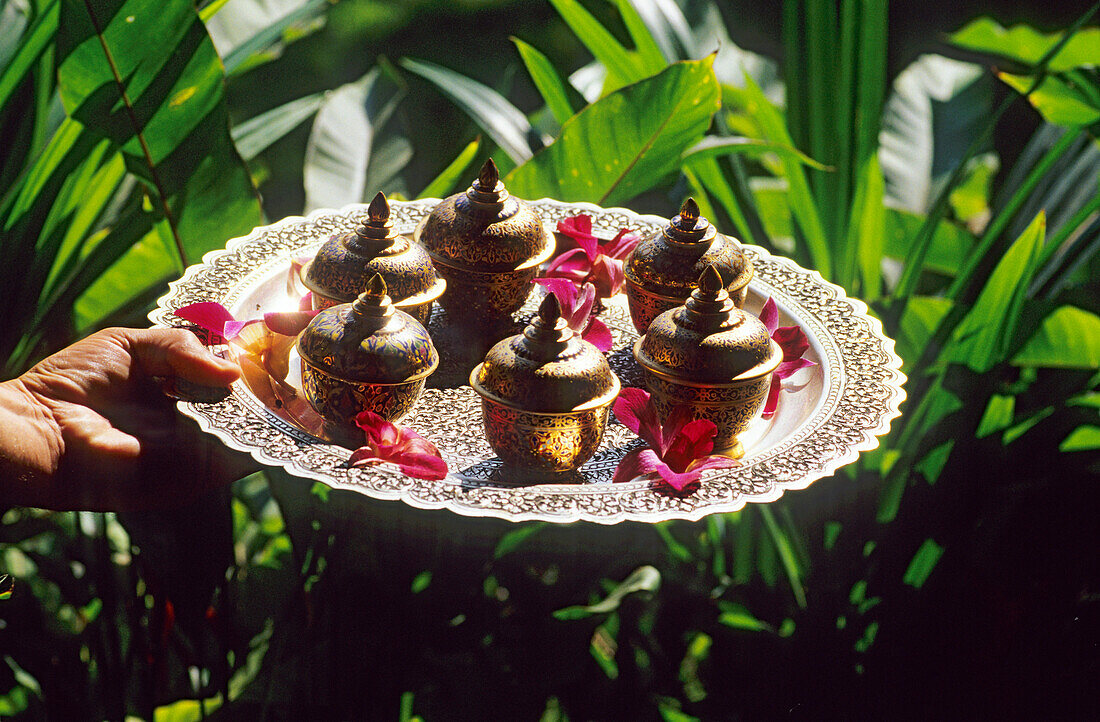 Tablett mit Ölen und Essenzen in einem Spa in Chiang Mai, Thailand