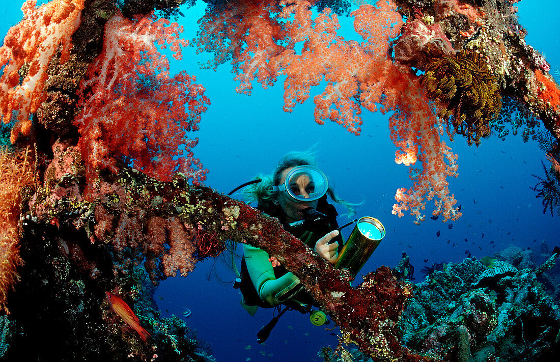 Scuba diver examines ship wreck Liberty, Bali, Tulamben, Indian Ocean, Indonesia