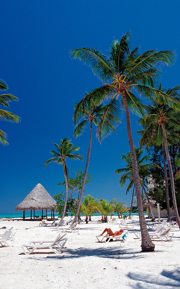 Sandy beach, Punta Cana, Caribbean, Dominican Republic