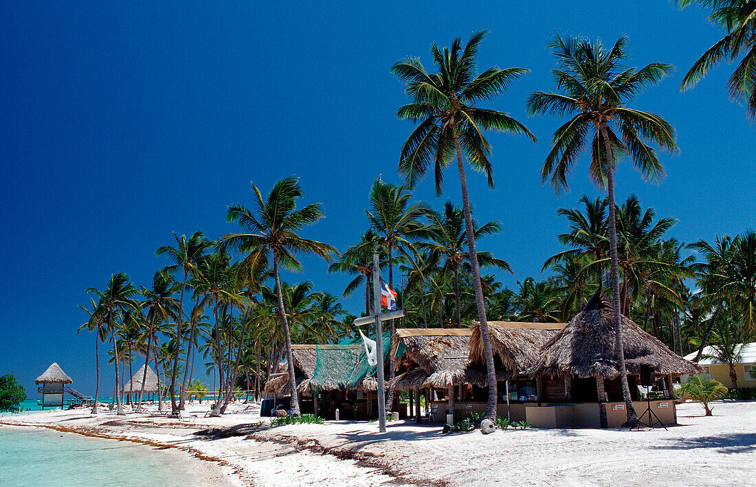 Sandy beach, Punta Cana, Caribbean, Dominican Republic