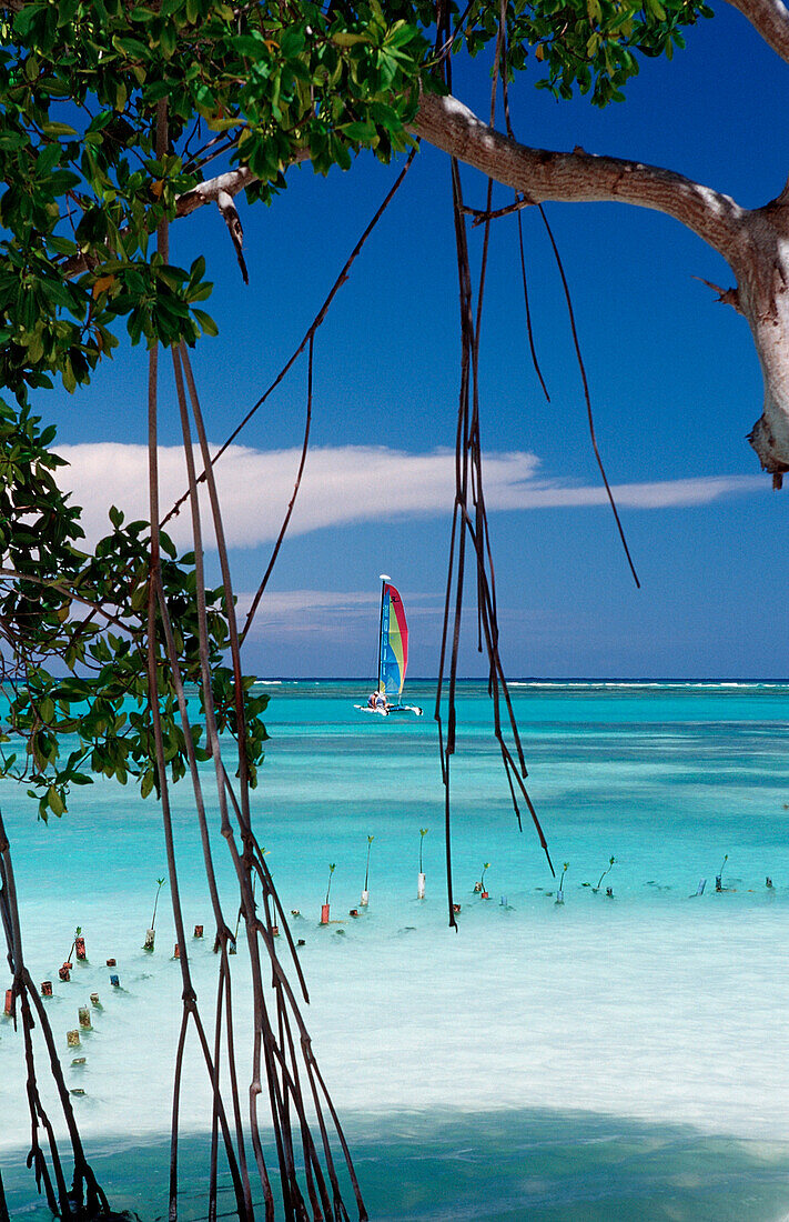 Turquoise blue sea with catamaran, Punta Cana, Caribbean, Dominican Republic