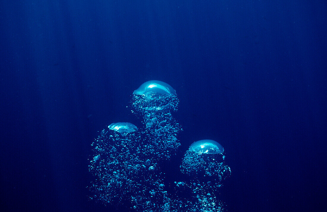 air bubbles rising underwater, Mexico, Sea of Cortez, Baja California, La Paz