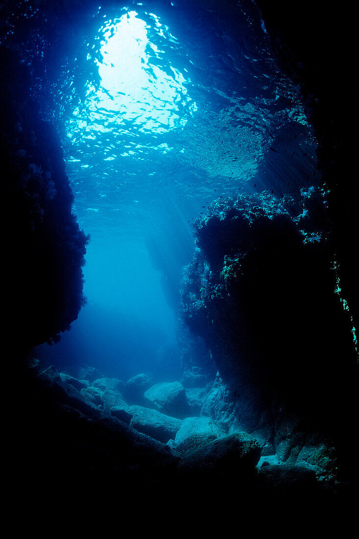 Underwater Cave Los Islotes, Mexico, Sea of Cortez, Baja California, La Paz