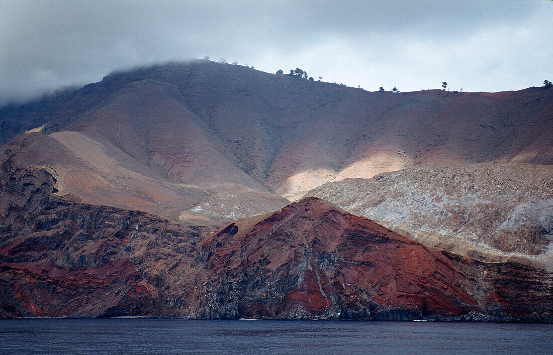 Guadalupe Island, Mexico, Pacific ocean, Guadalupe