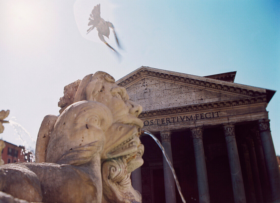 Taube fliegt über Brunnen, Pantheon, Piazza della Rotonda, Rom, Italien