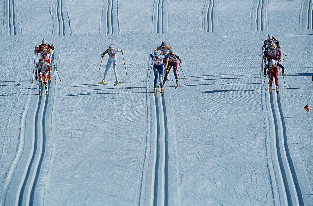 Cross country skiers