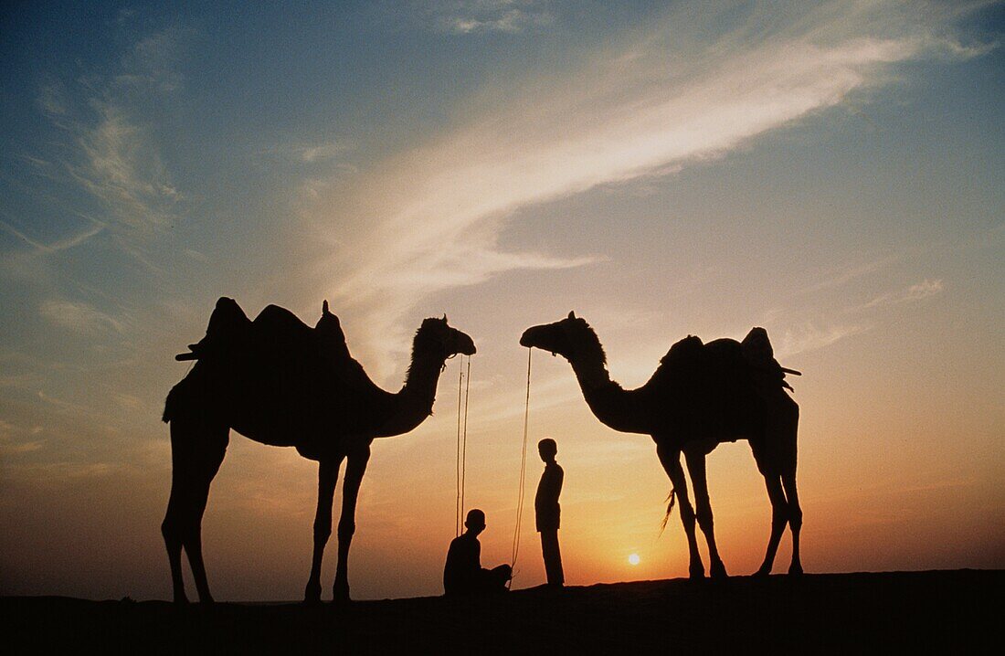Desert dwellers with camels, Sahara, Africa