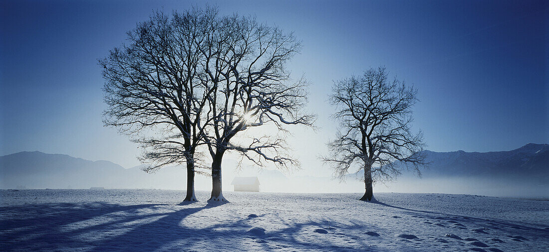 Winterlandschaft am Kochelsee, Kochel, Bayern, Deutschland