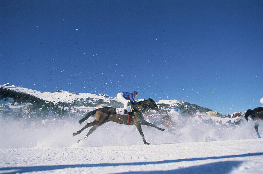 Pferderennen, Pferd mit Jockey galoppiert im Schnee, St. Moritz, Graubünden, Schweiz, Europa