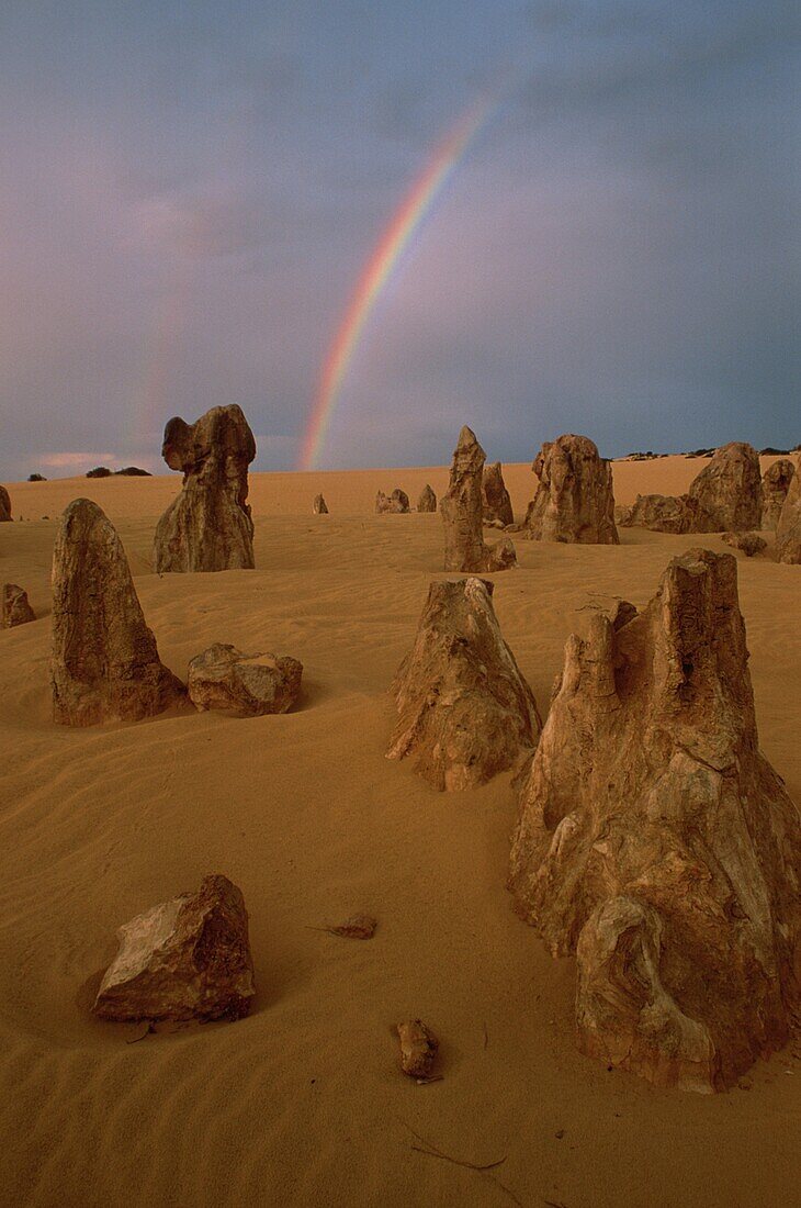 Pinnacles, Nambung National Park, West Australia