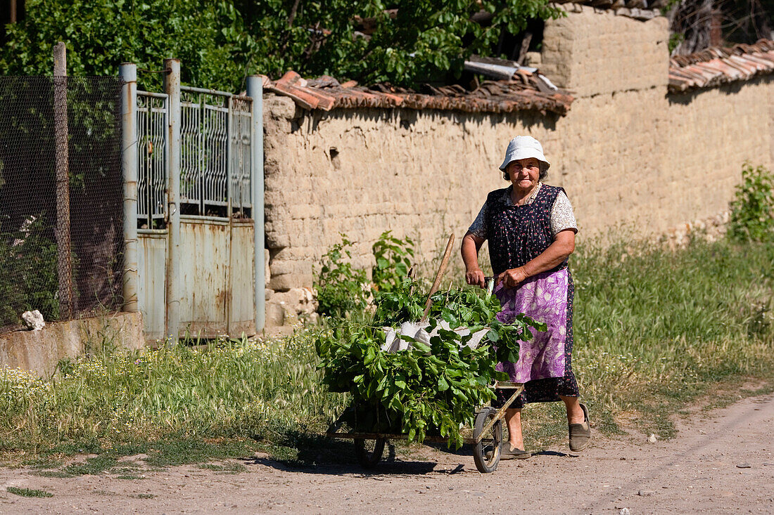 Bäuerin, Muselievo bei Pleven, Bulgarien
