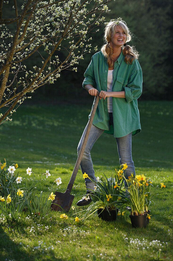 Yougn woman planting narcissus, Brannenburg, Upper Bavaria, Bavaria, Germany