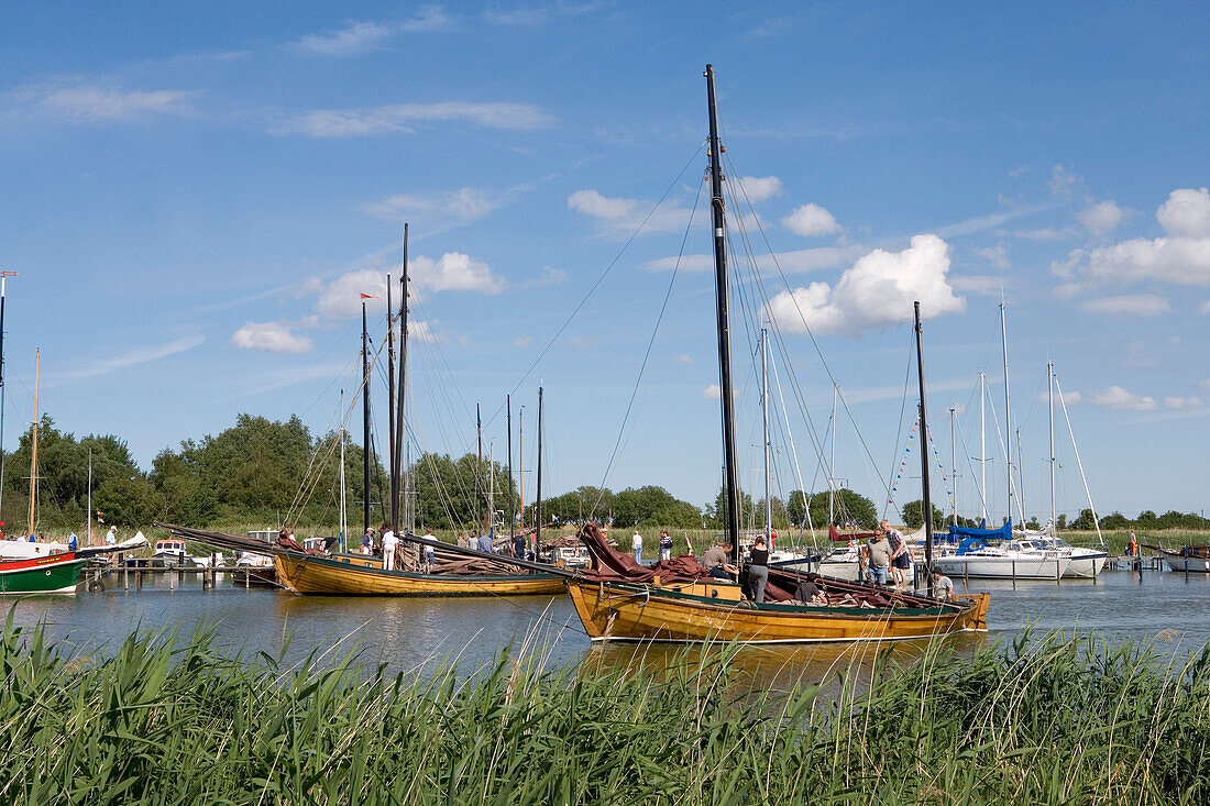 Zeesenboot Regatta, Wustrow, Fischland, Darss, Zingst, Mecklenburg-Vorpommern, Deutschland