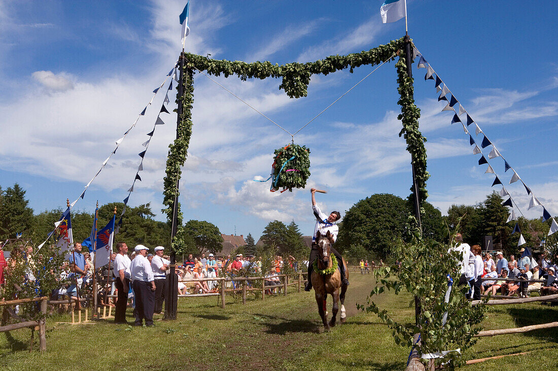 Traditional horseriding, Wieck, Fischland, Baltic Sea, Mecklenburg-Western Pomerania, Germany