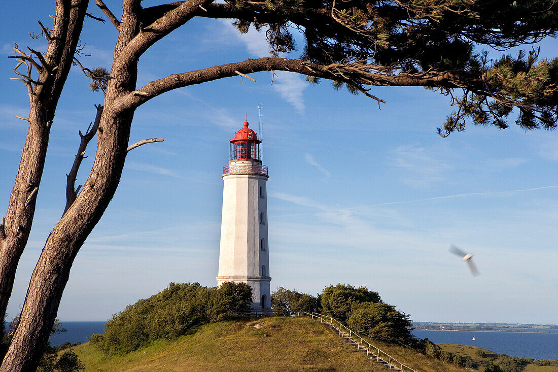 Leuchtturm auf dem Dornbusch, Hiddensee, Ostsee, Mecklenburg-Vorpommern, Deutschland