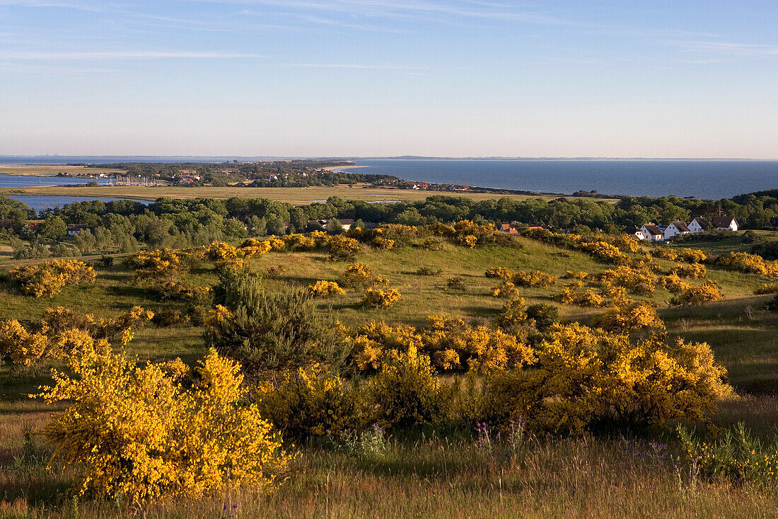 Blick vom Dornbusch, Hiddensee, Ostsee, Mecklenburg-Vorpommern, Deutschland