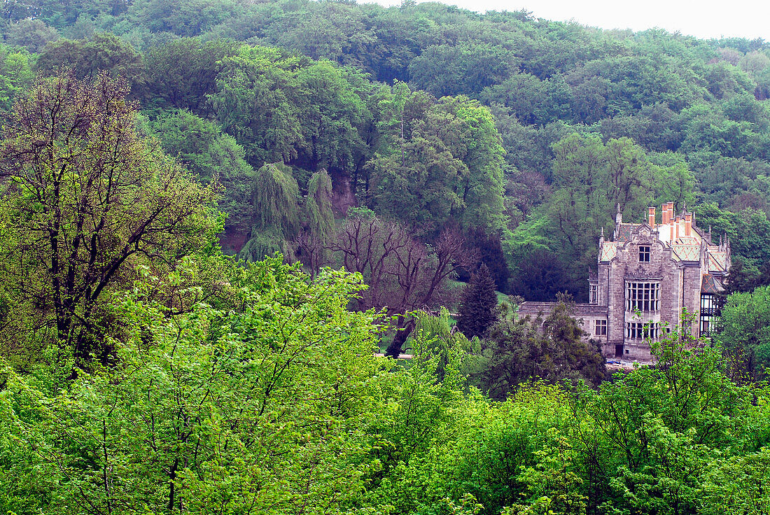 View to Altenstein castle, Bad Liebenstein, Thuringia, Germany