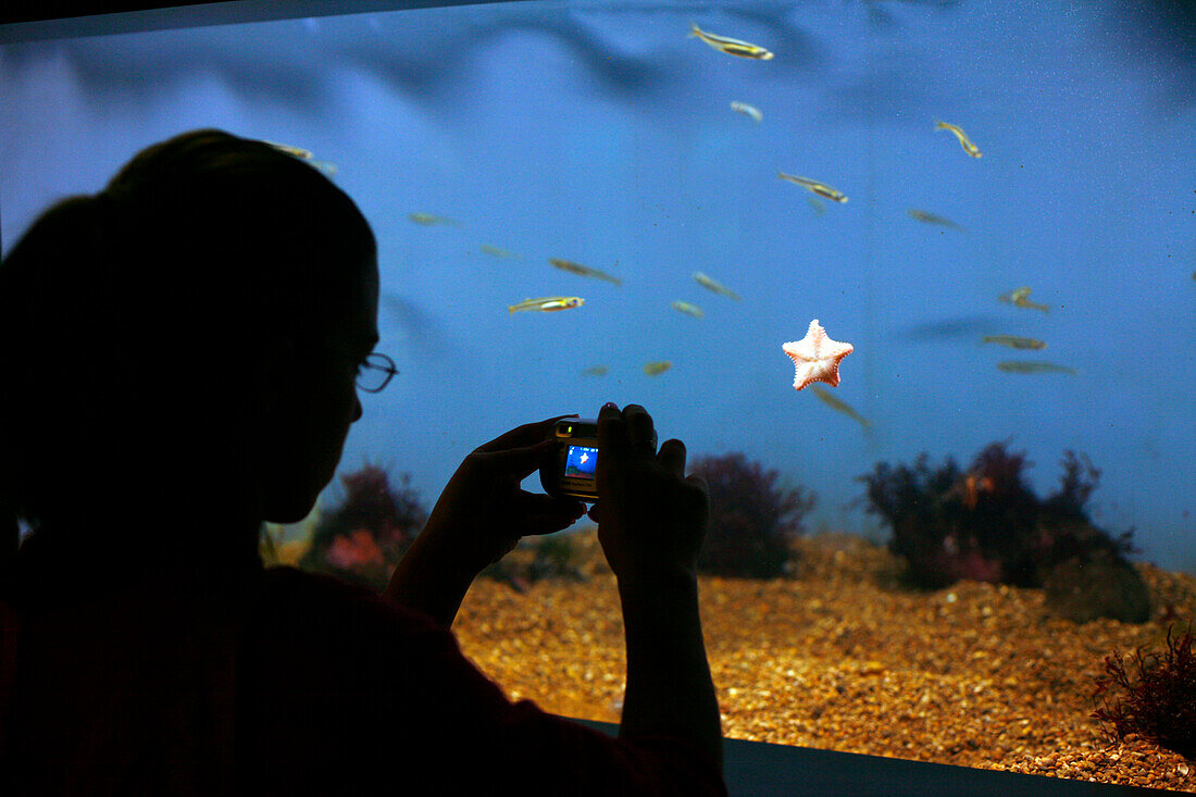 Touristen in New England Aquarium, Boston, Massachusetts, USA